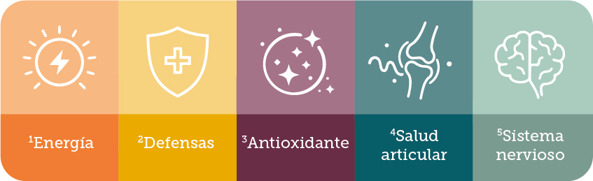 Beneficios Aura