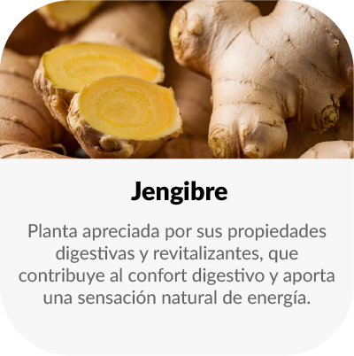 jengibre_ing