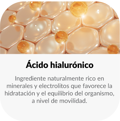 Ingrediente naturalmente rico en minerales y electrolitos que favorece la hidratación y el equilibrio del organismo.