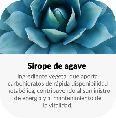 agave