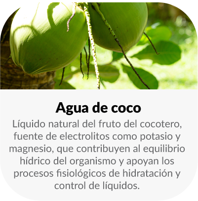 Líquido natural del fruto del cocotero, fuente de electrolitos como potasio y magnesio, que contribuyen al equilibrio hídrico del organismo y apoyan los procesos fisiológicos de hidratación y eliminación de líquidos.