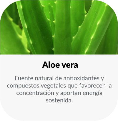 Fuente natural de antioxidantes y compuestos vegetales que favorecen la concentración y aportan energía sostenida.