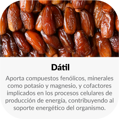 Aporta compuestos fenólicos, minerales como potasio y magnesio, y cofactores implicados en los procesos celulares de producción de energía, contribuyendo al soporte energético del organismo.