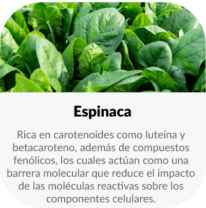 espinacas