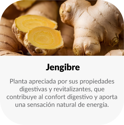 Planta apreciada por sus propiedades digestivas y revitalizantes, que contribuye al confort digestivo y aporta una sensación natural de energía.