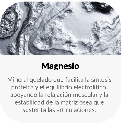 Ingrediente naturalmente rico en minerales y electrolitos que favorece la hidratación y el equilibrio del organismo.