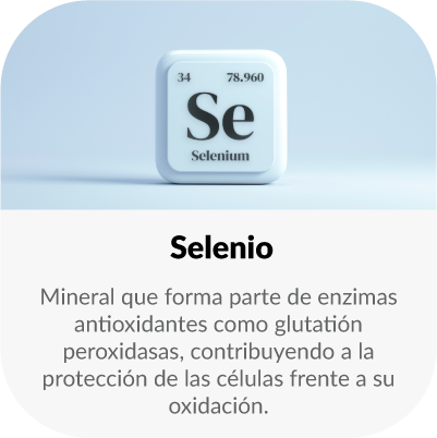 Nutriente esencial que contribuye al funcionamiento normal del sistema inmunitario y ayuda a proteger las células frente al daño oxidativo.
