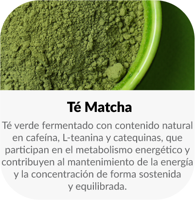 Té verde con contenido natural en cafeína, L-teanina y catequinas, que participan en el metabolismo energético y contribuyen al mantenimiento de la energía y la concentración de forma sostenida y equilibrada.