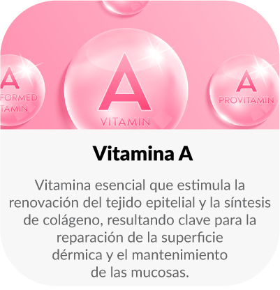 Fuente natural de antioxidantes y compuestos vegetales que favorecen la concentración y aportan energía sostenida.