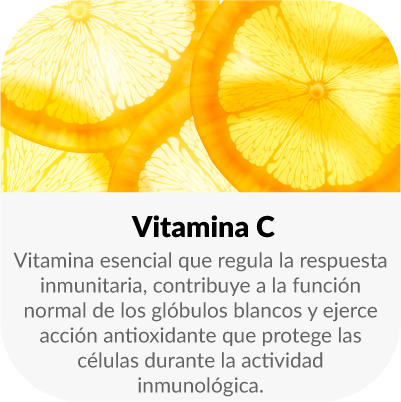 vitamina esencial que regula la respuesta inmunitaria, contribuye a la función normal de los glóbulos blancos y ejerce acción antioxidante que protege las células durante la actividad inmunológica.