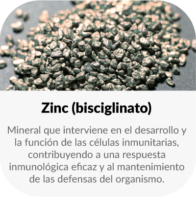 Mineral que interviene en el desarrollo y la función de las células inmunitarias, contribuyendo a una respuesta inmunológica eficaz y al mantenimiento de las defensas del organismo.